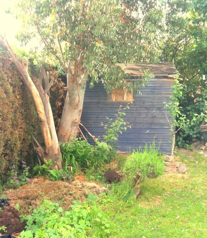 Almond House B&B Édimbourg Extérieur photo